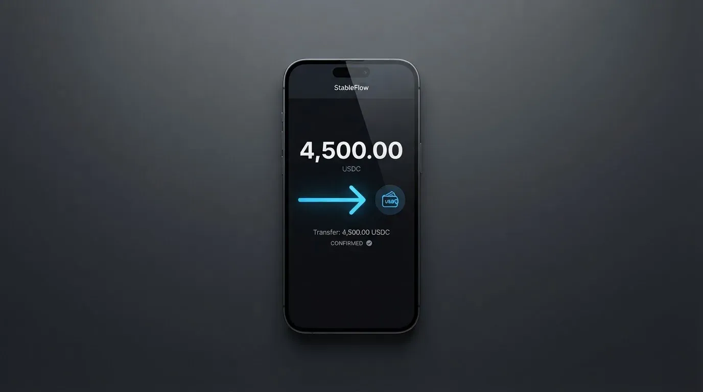 A phone showing a stablecoin transfer screen